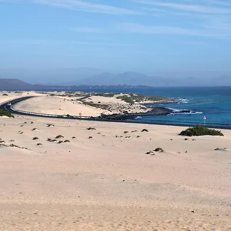 La Palmera De