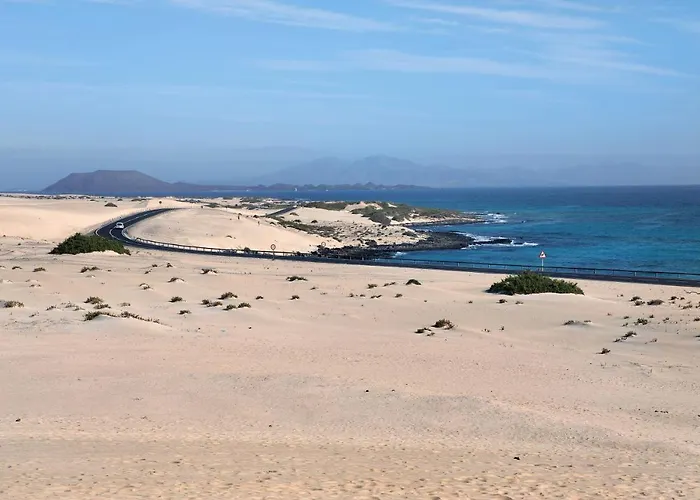 La Palmera De