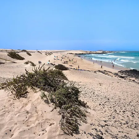 La Palmera De 펜션
